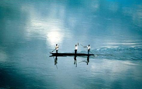 梦境之舟，在涨水的大树与过河的援手中寻觅心灵的归宿