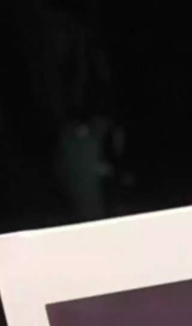 解梦梦见超大的猫咬死超大的鼠，隐秘的权力博弈与内心秩序的重构