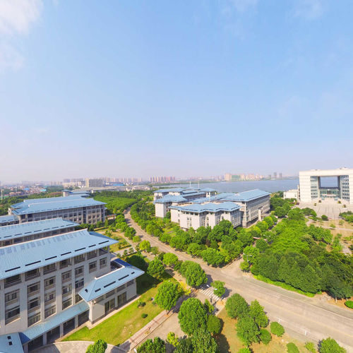 有关湖北中医药大学的图片, 第1张图片