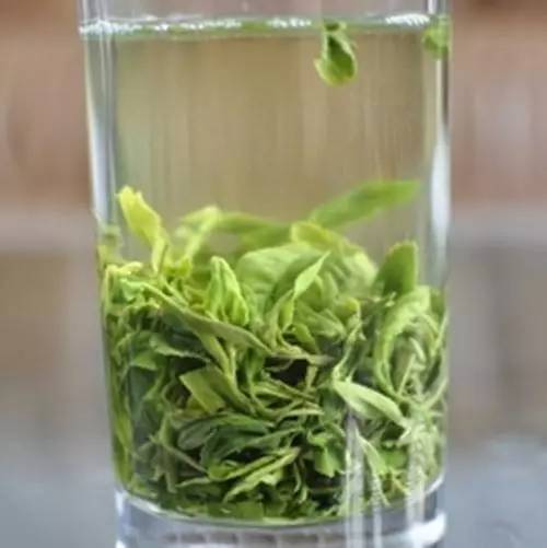 为什么要喝绿茶 拉肚子可以喝绿茶吗