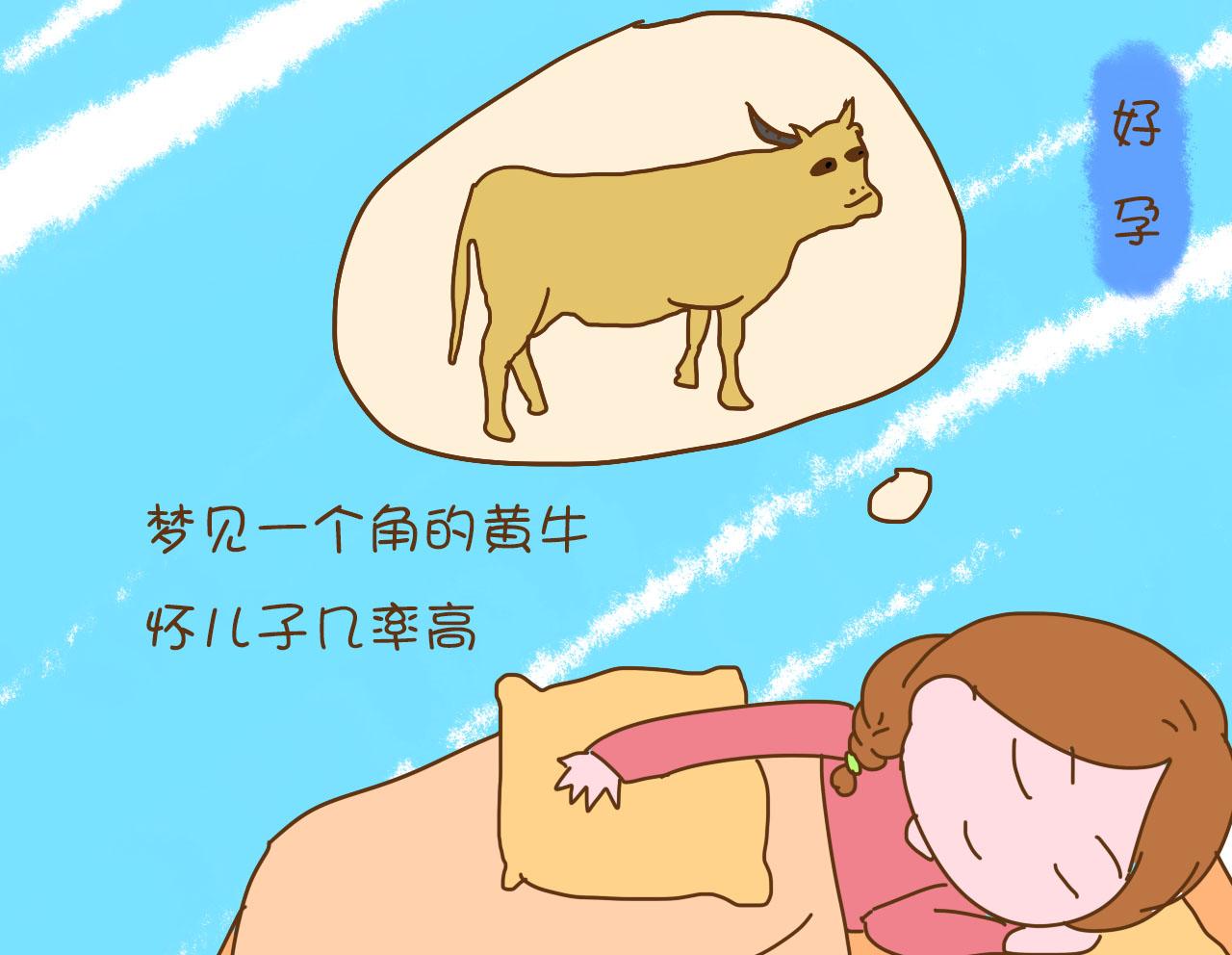 梦见哪些动物是胎梦？解读孕期梦境中的神秘信号