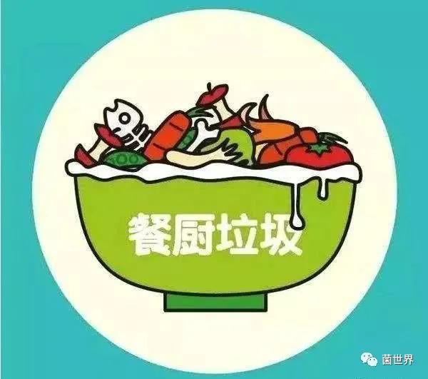 梦到很多死人还有点臭了这是什么意思，深入解析梦境中的死亡与腐败象征