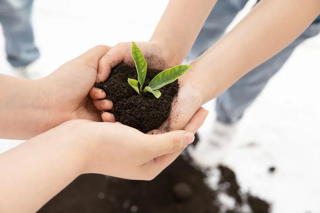 梦的启示，已婚女性的生育焦虑与潜意识探索