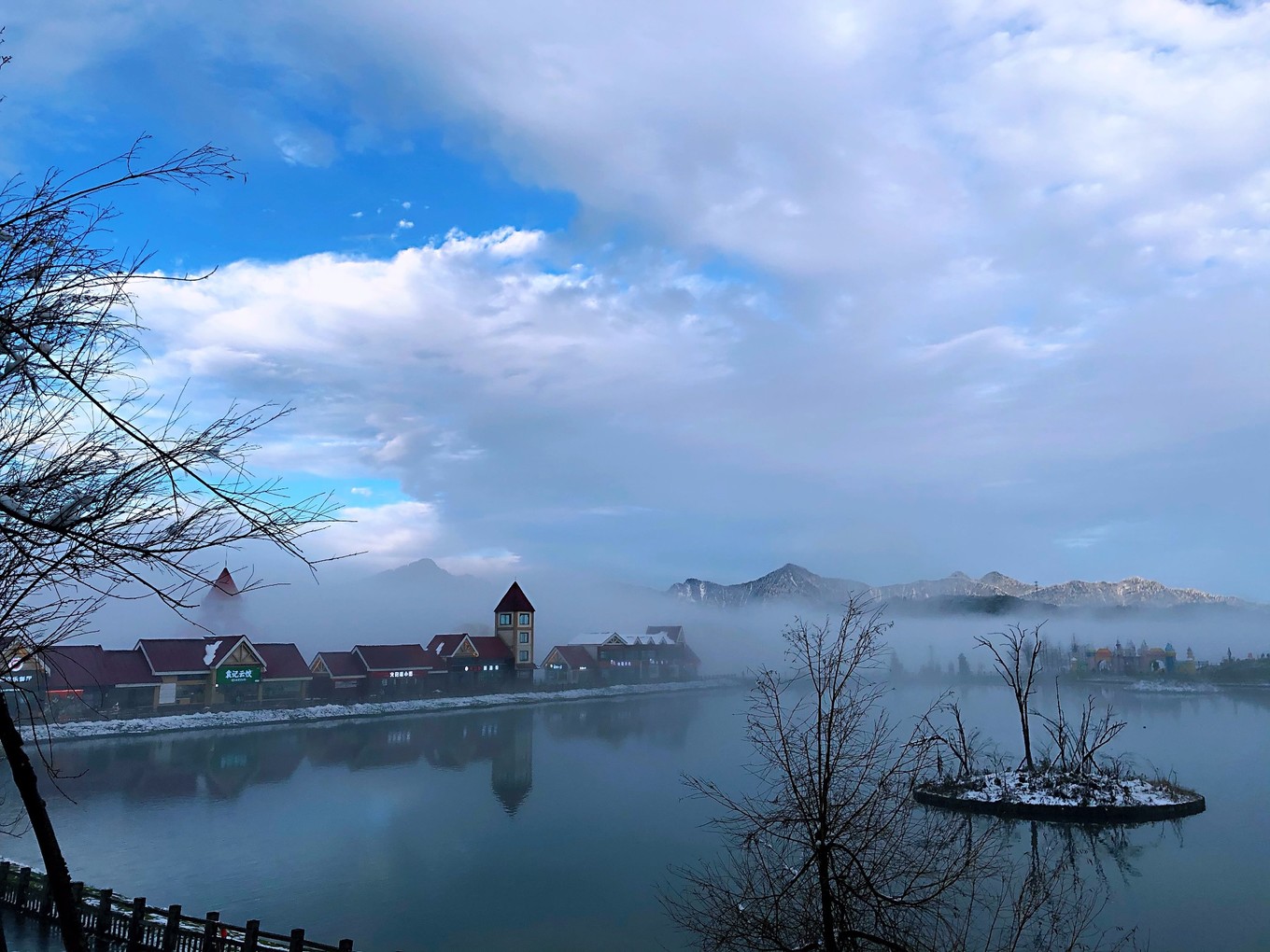 梦境奇缘，四年级女生与家中猫兔共舞的奇幻之旅