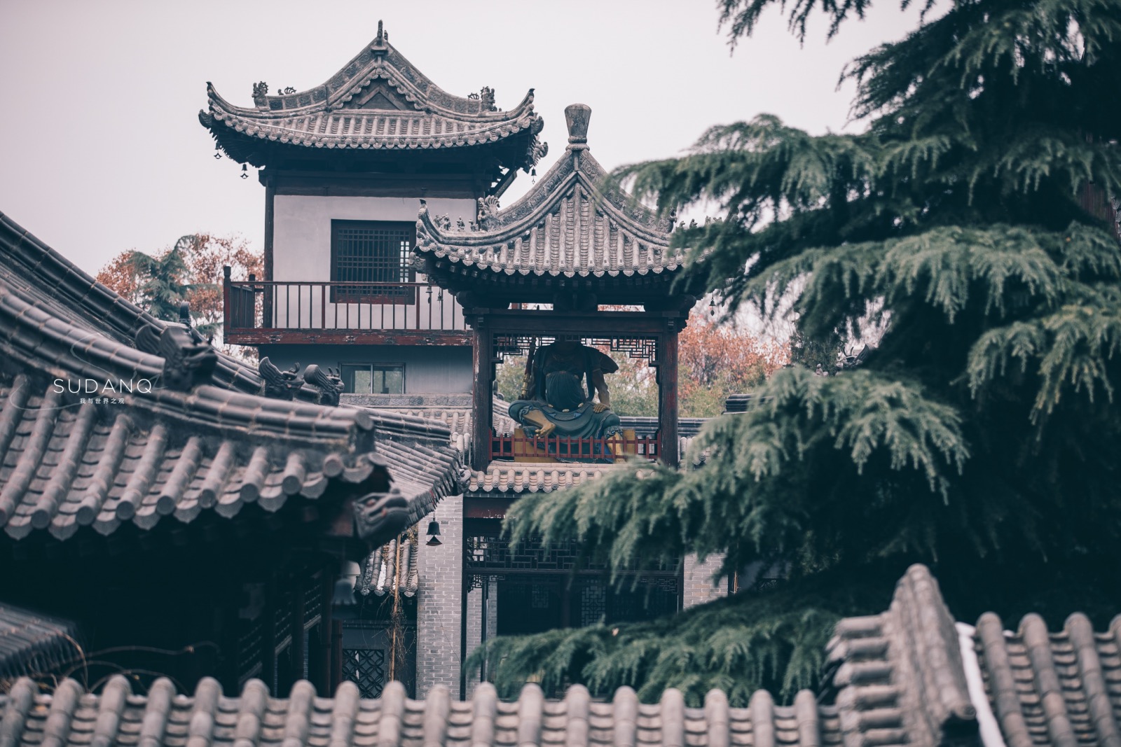 梦见两条青龙在山中，古老象征与现代解读