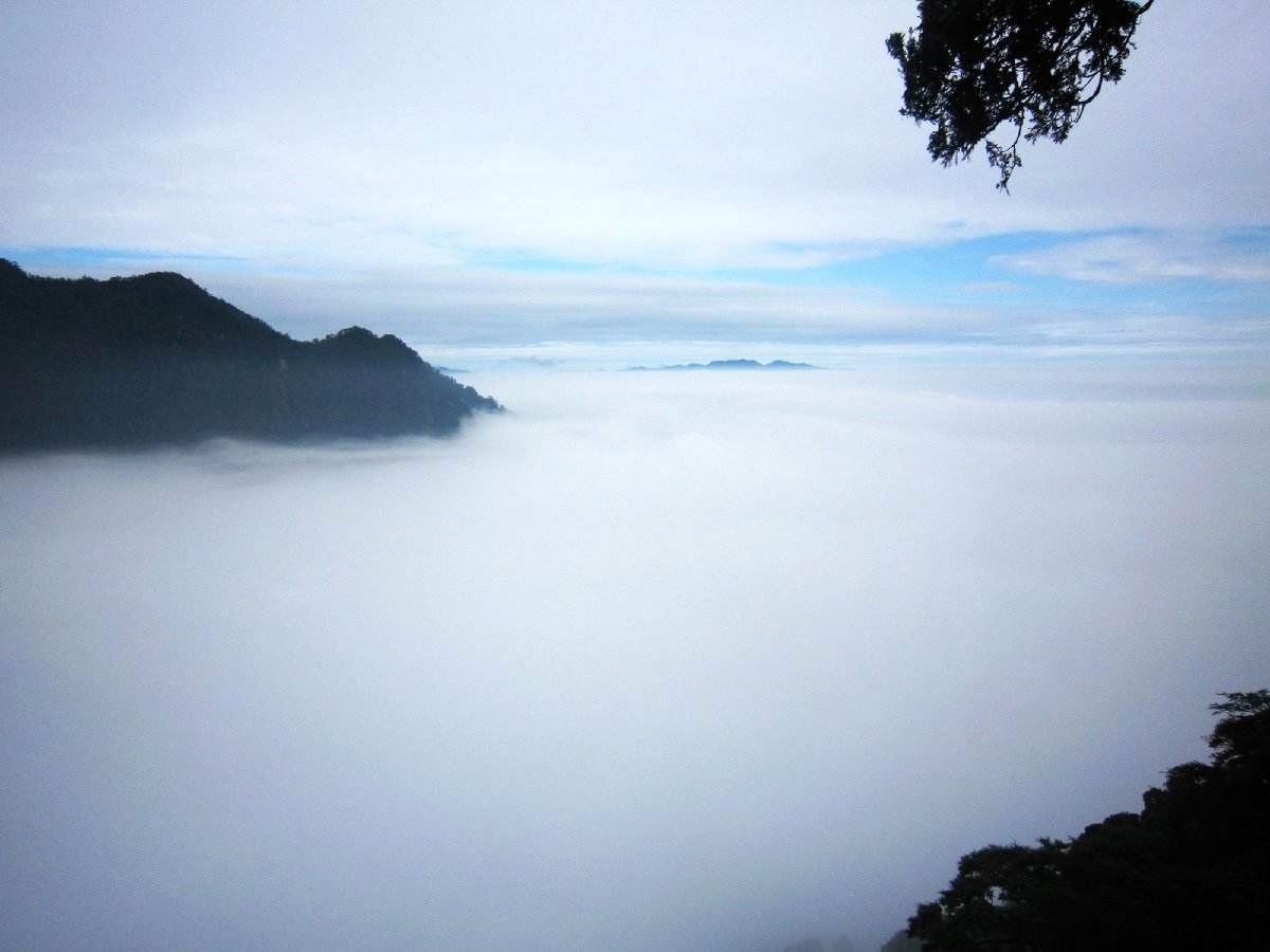 大神解梦，探索梦境的奥秘与个人成长的启示