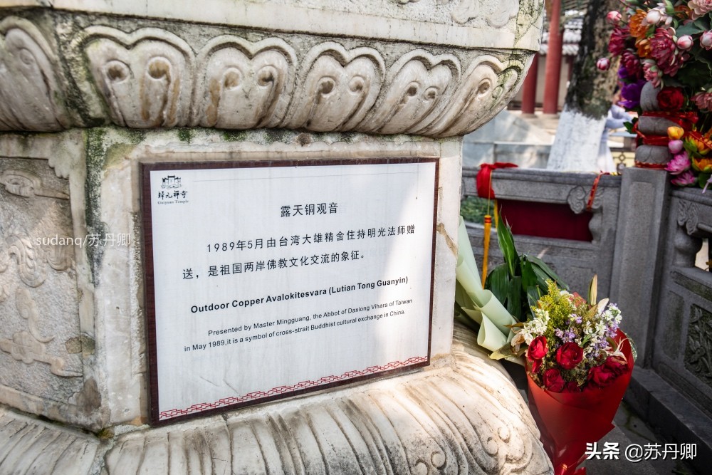 梦境重生，梦见父亲复活之谜