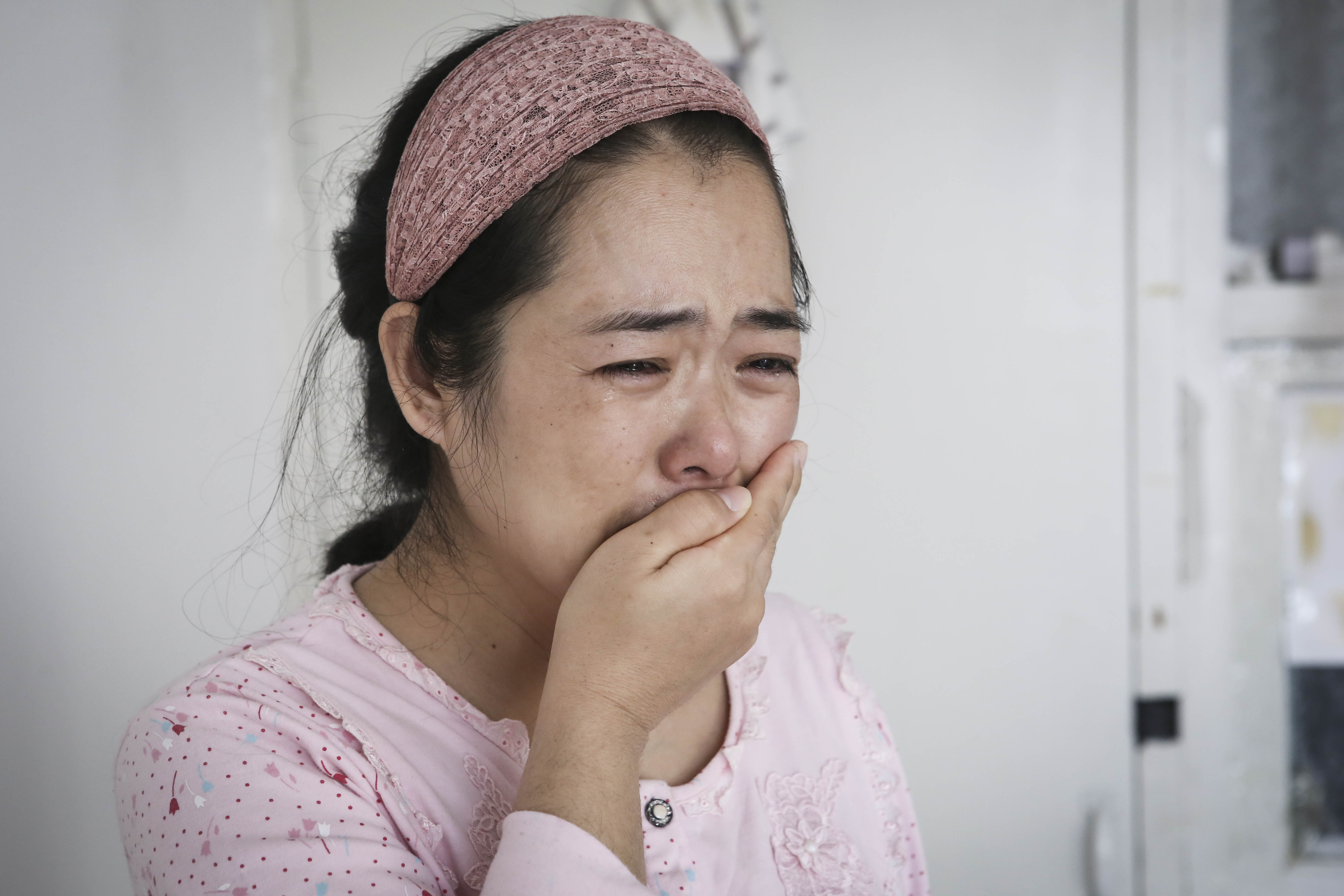昨晚梦见被一只猫死咬着不放，梦境背后的深层解析与心理启示