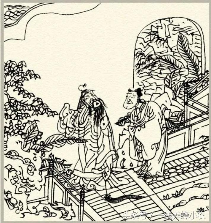梦见下边门牙掉了求解梦高手来给我解解谢谢