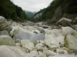 毛竹山上的共掘之梦，探索家庭与内心深处的坟墓意象