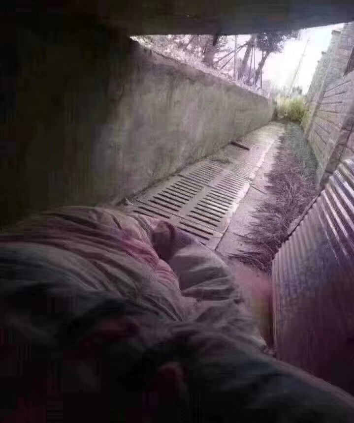 晚上睡觉梦到老鼠，解读梦境背后的深层含义