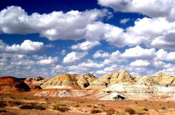 周公解梦，梦中鱼蛇交织，寓意深远探秘