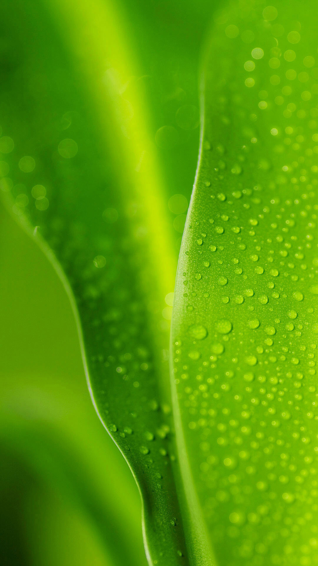 梦见抱着死去的外婆哭，一场心灵深处的对话