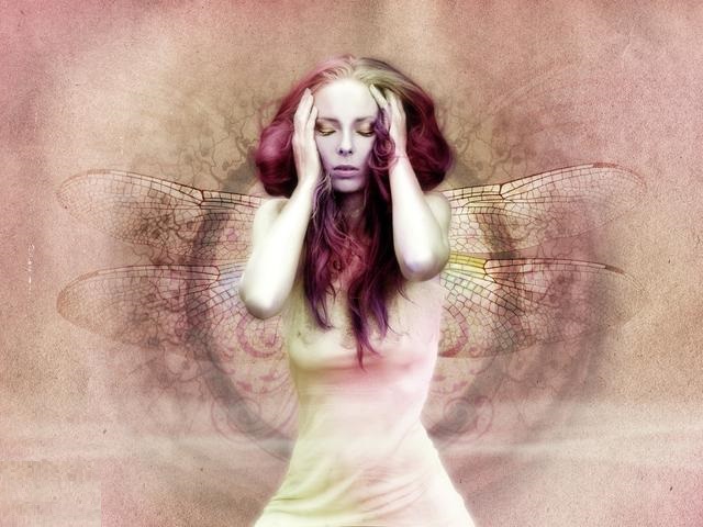 梦境之谜，当狗闯入家中柜子——一场关于忠诚、保护与潜意识的深度探索