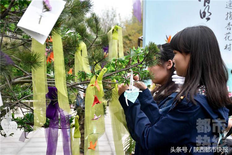 中年女性的心灵慰藉，梦中重逢已故母亲，寓意何在？