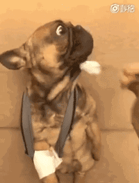 梦回往昔，在梦境的厨房里，为逝去的亲人烹饪——解析梦见死去的人我还给她们做饭吃的深层含义