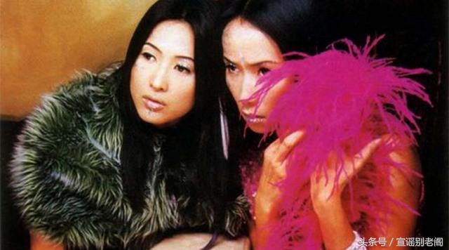 梦境迷踪，解析无故梦到狐狸吃马的深层含义与心理暗示