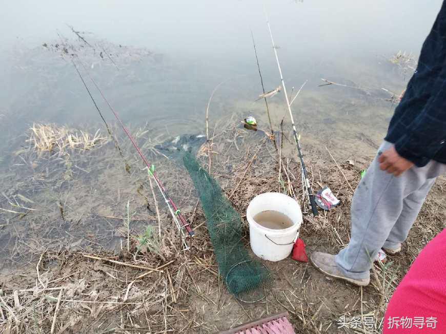 梦境深处的渔歌，解析梦见钓鱼，收获两条大鱼，其中一条鱼眼特别大的神秘寓意