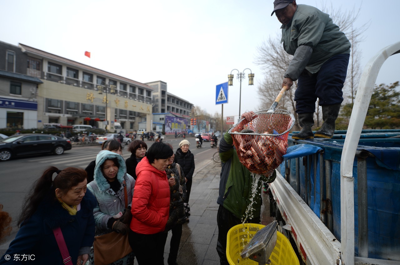 梦到捞鱼和鳖，最后的抉择——为何把鳖放了？谁为我解梦？