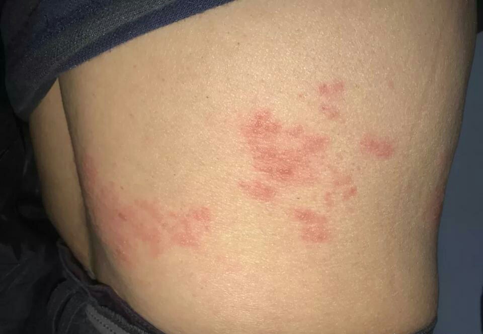 晚上梦见两条蛇缠绕，梦境背后的深层含义与预兆解析