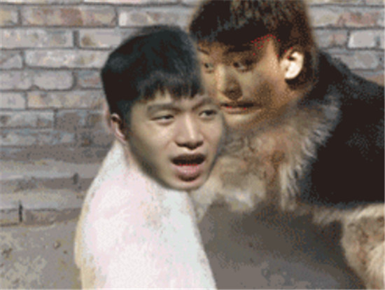 梦见猪狗，解读梦境中的和谐与冲突