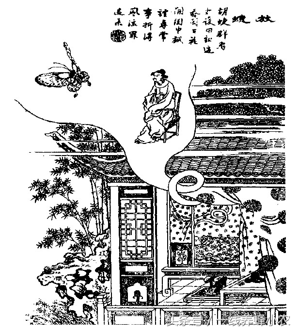 梦见人和火一直跑一直跑，探索梦境中的紧张与释放