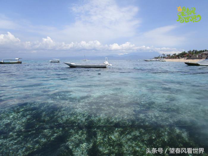 梦境探秘，解析梦到摘白菜的深层含义与心理暗示