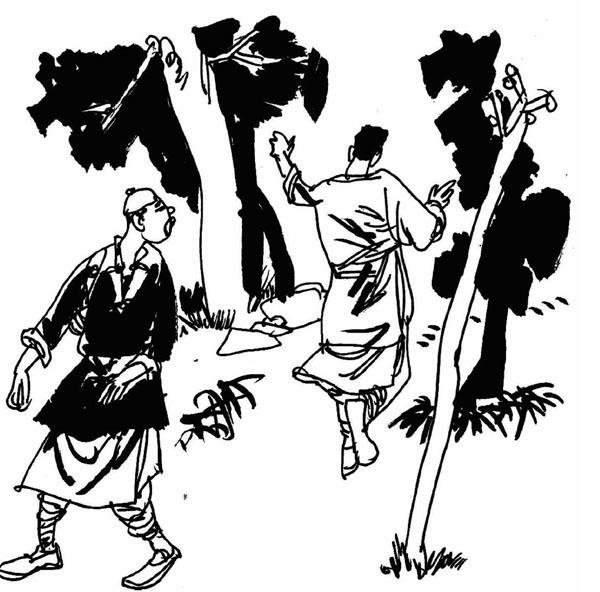 梦游幻境，昨夜白狐之谜——深度解析白色小狐狸在梦中的象征意义