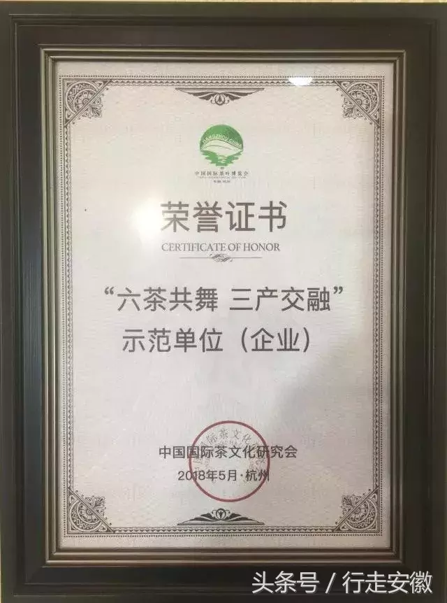 探寻祁门红茶：红茶品牌TOP10的魅力之旅