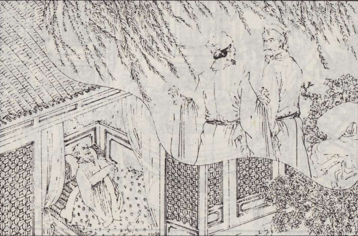 梦到狼了，深层次的心理探索与象征意义