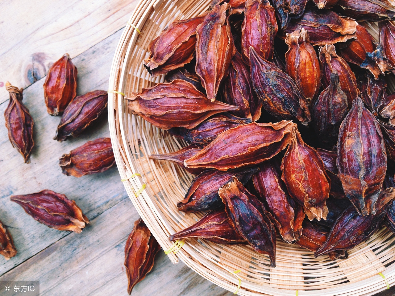 孕妇梦境解析，家养蛇与猫的交锋——寓意与解读