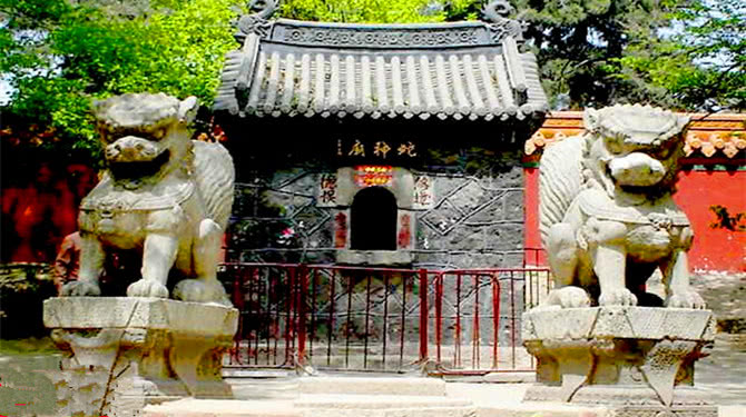梦见很多巨蟒是何征兆？周公解梦与心理学视角下的深度解析