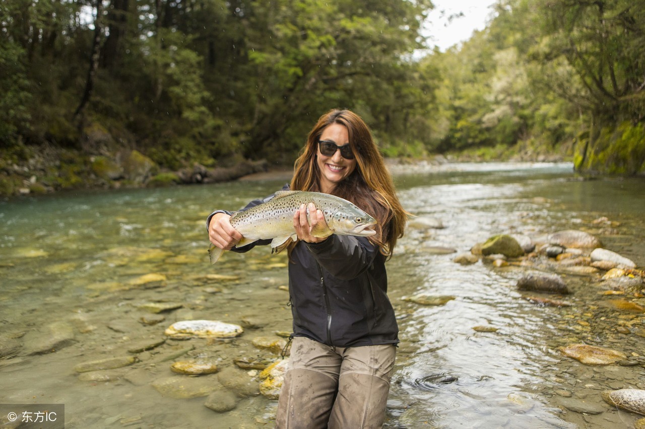 梦境解析，梦见大鱼追逐与逃脱的深层含义