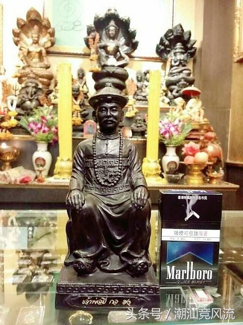 梦见猫蛇鳄鱼，梦境中的神秘交织与心灵深处的启示