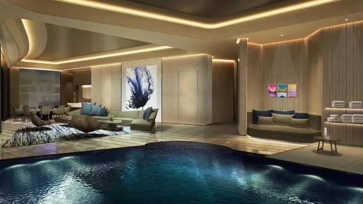 梦境解析，游泳池中的老虎——潜意识的警示与自我救赎