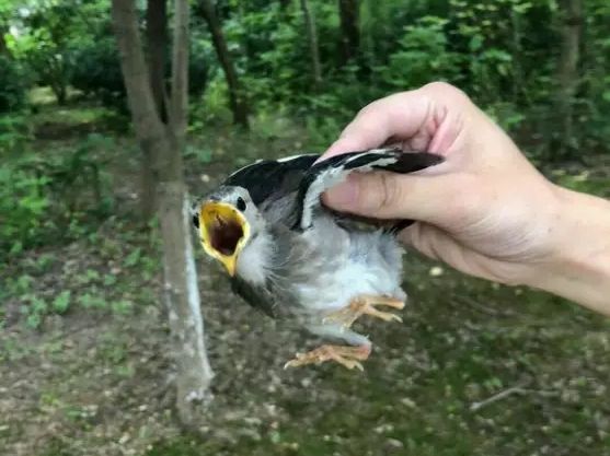 周公解梦破解大全，梦见蛇变成男人缠着自己，寓意何在？