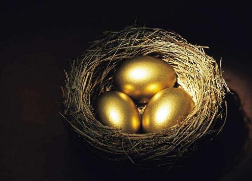 梦见鱼和乌龟，探索梦境中的神秘象征