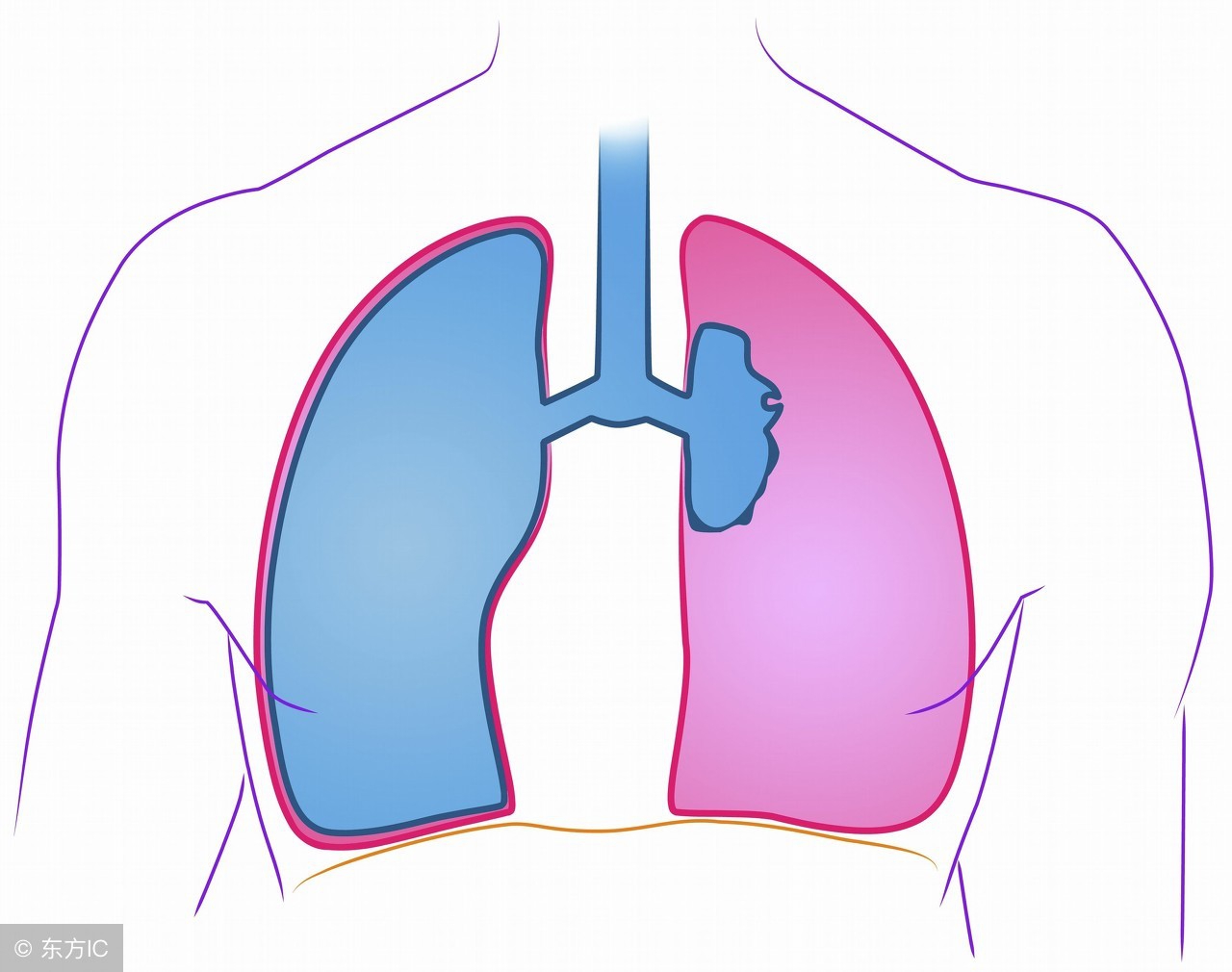胸闷气短一分钟自愈 十个胸闷九个肺癌准确吗