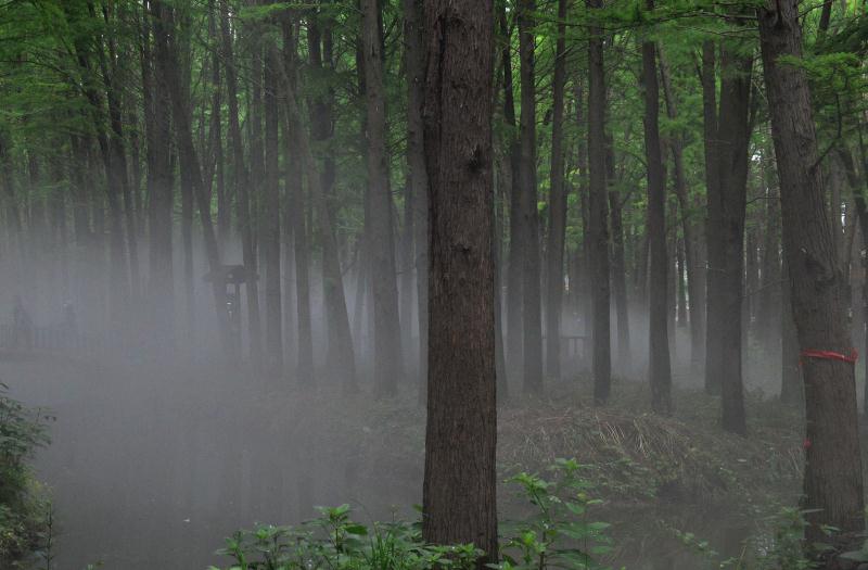 孕期梦境解析，梦到抓鱼又抓到蛇的寓意与心理解读