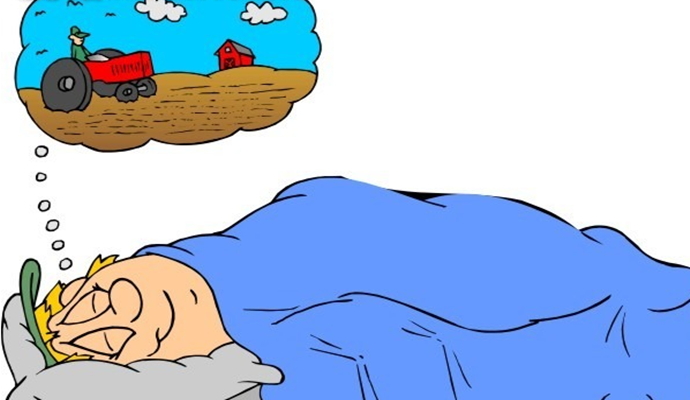 为什么每天晚上都梦见我前男友？解读梦境背后的情感与心理