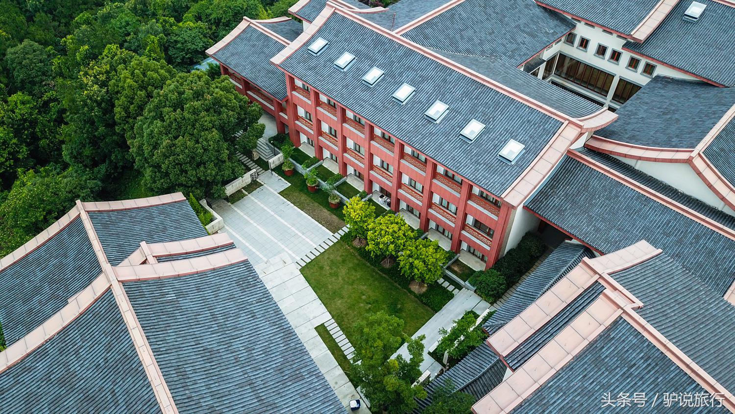 梦境中的树顶之恋，探索与伴侣共攀高峰的深层含义