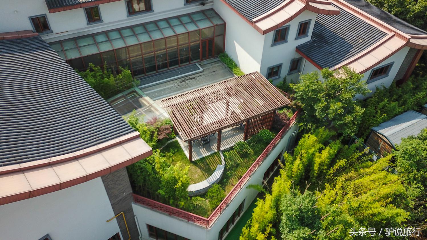 梦境启示，鸟叼死人在空中飞舞，寓意与解析