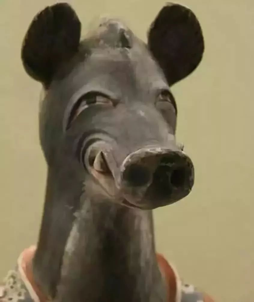 梦境探秘，梦见一片坟地众人挖出神秘猪的象征意义