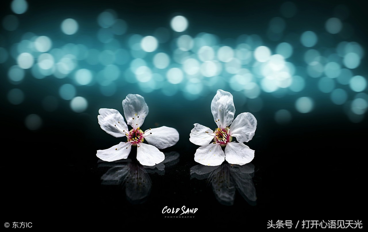 梦境中的高空坠落，为何在触地之前总会惊醒？