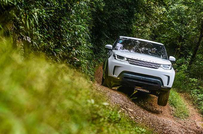 梦境迷踪，稻田里的跌落与自我觉醒的泥泞之旅