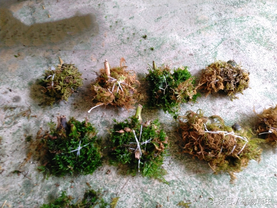 梦的解析，当左上牙在梦中松动并掉落——深层心理的隐喻与启示