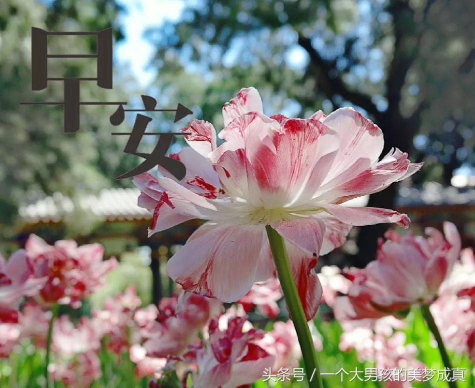 梦里人潮涌动，解读梦见家里一下来了很多人的深层含义
