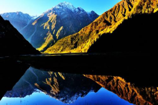 梦境解析，大鱼逆流而上，却受阻于急流