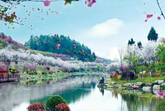 梦境中的纯真与成长，解析梦到一个小男孩在地上爬着玩耍的深层含义