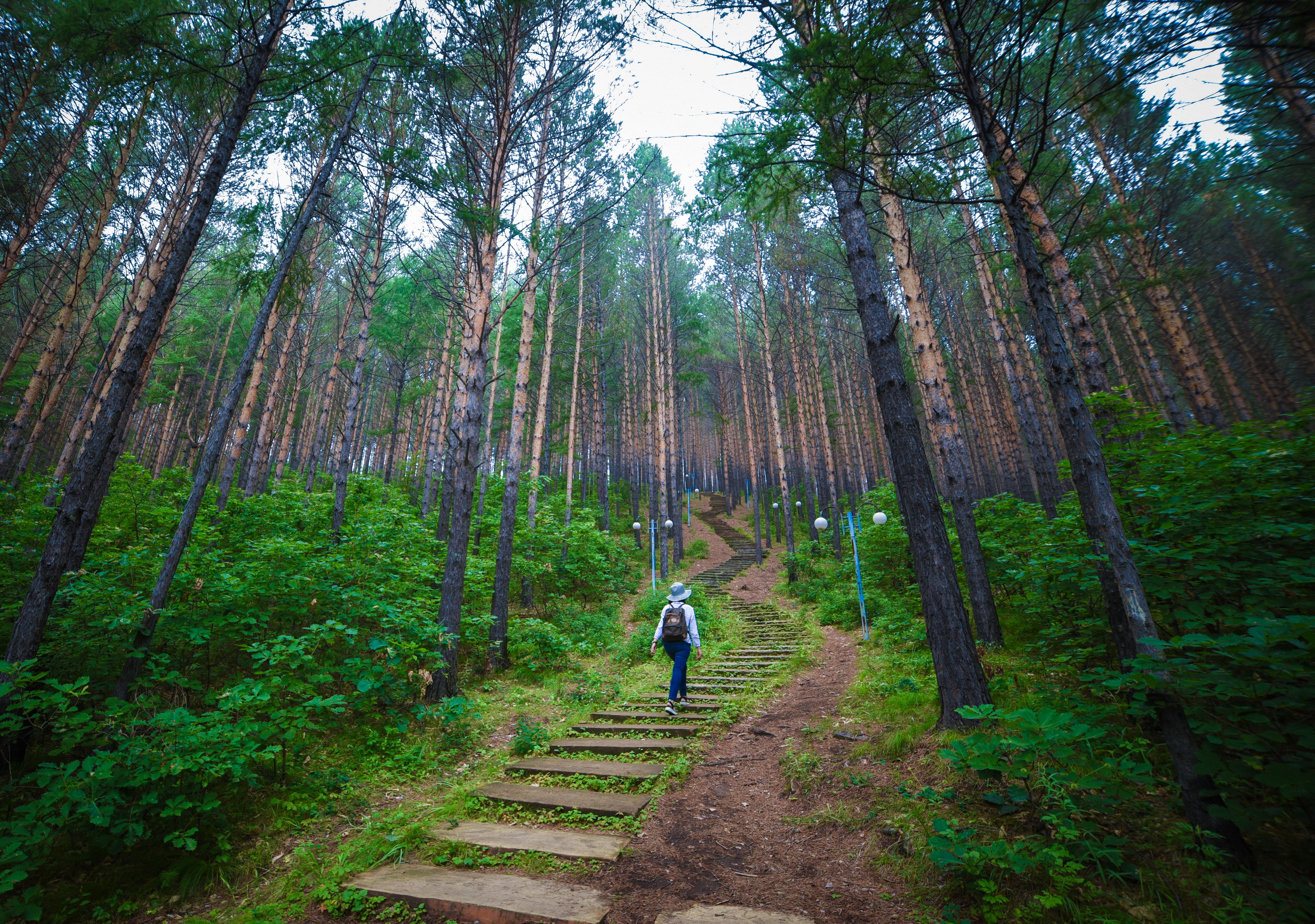 梦境交织，与前任重逢在婚礼的奇幻之旅
